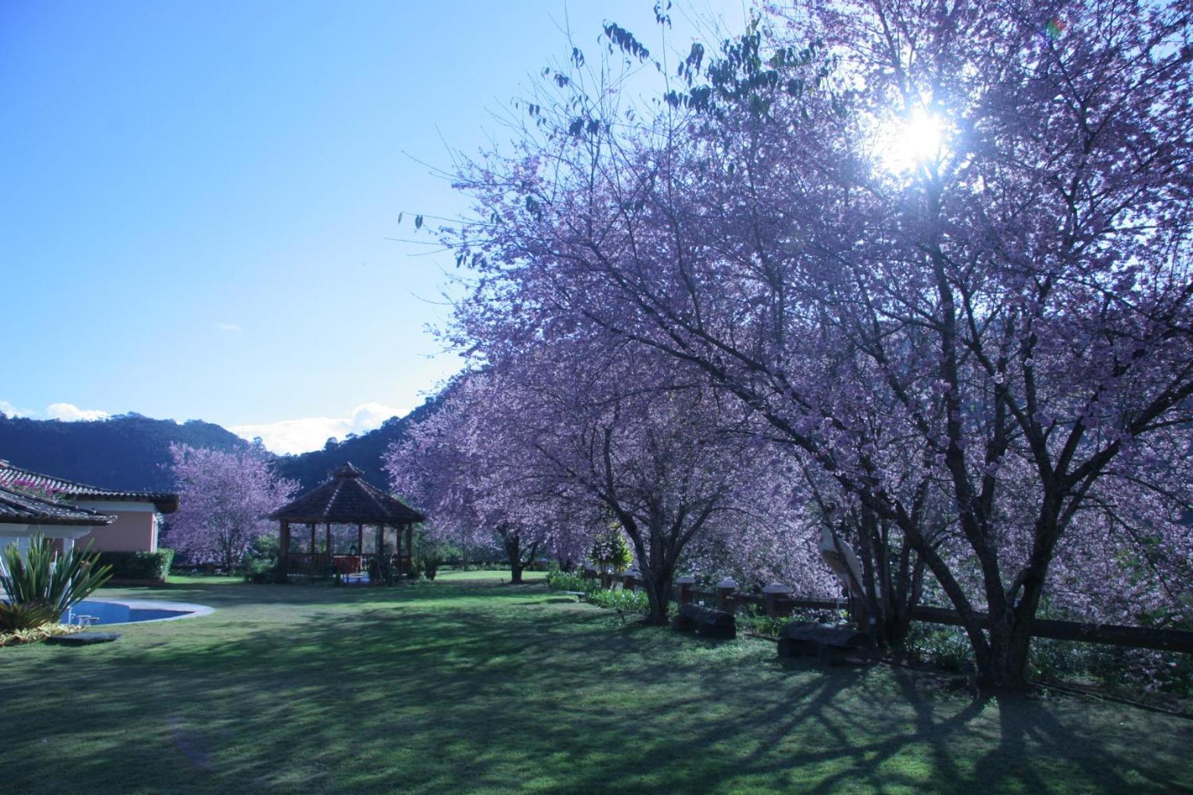 Quinta Da Paz Resort Itaipava ภายนอก รูปภาพ